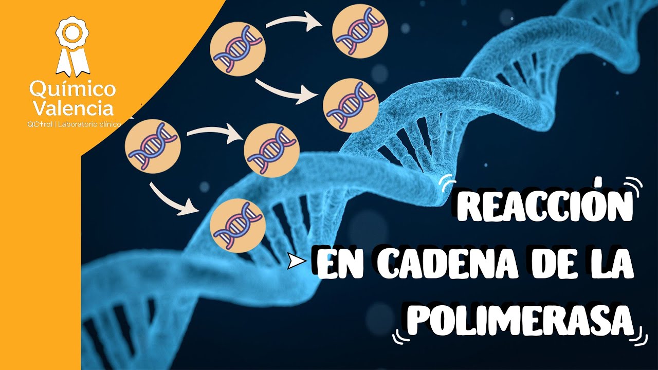 This is the principle of the PCR