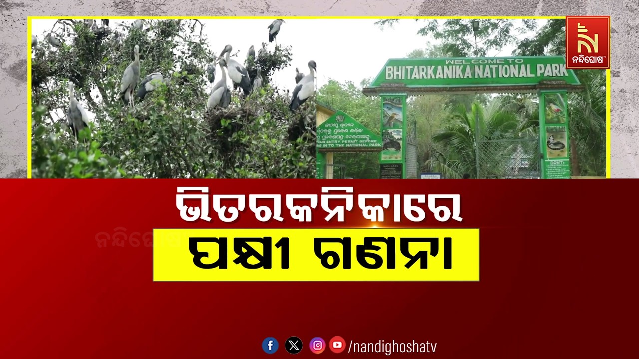 🔴Live | ଭିତରକନିକାରେ ପକ୍ଷୀ ଗଣନା