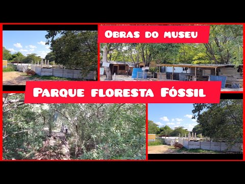 Museu do Parque Floresta Fóssil, Obras em Andamento! Teresina Piauí