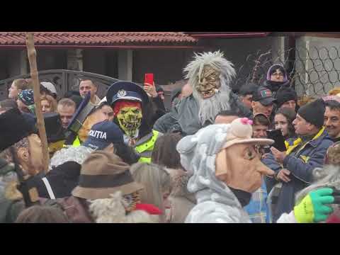 Pițărăi Padeș, Motru-Sec 2024..🌲🌲🌲