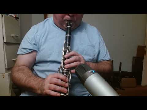 F. BARBIER INTERMEDIATE/ADVANCED Bb WOOD CLARINET - by SELMER PARIS - DEMO VIDEO - READY TO PLAY! image 26