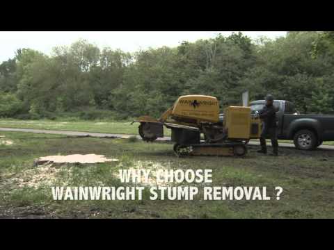 Wainwright Stump Removal video.
