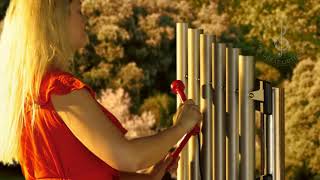 Soprano Pentatonic Freechimes Outdoor Instrument video thumbnail 1