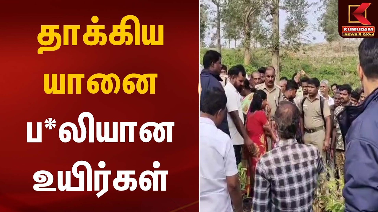 தாக்கிய யானை ப*லியான உயிர்கள் | Elephant Attack | Kumudam News