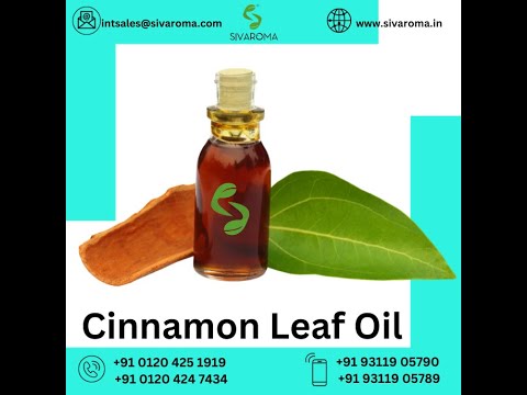 Cinnamon Leaf Spice Oil