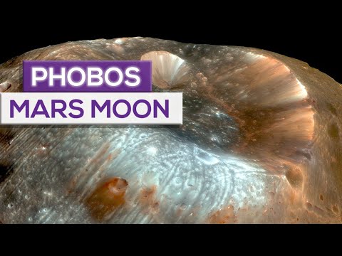 New Space Race Who Will Be The First To Reach Mars