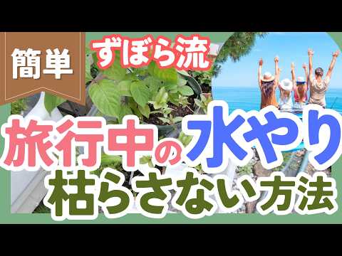 庭で水を節約する: 実践的なヒントとコツ!  庭園