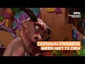 Ook derde poging om Tilburgse carnavalswagens te laten zien mislukt: 'Het doet wel heel erg pijn'