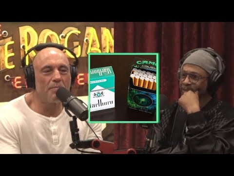 Why Do Black People LOVE Menthol   Joe Rogan & Katt Williams