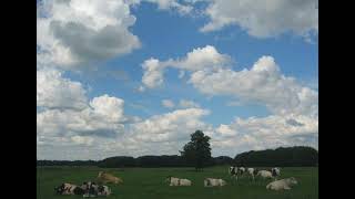 Download lagu Mesin Waktu - Budi Doremi (Reverb Tiktok version) mp3 Download lagu Mesin Waktu - Budi Doremi (Reverb Tiktok version) mp3