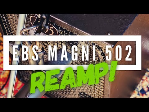 Комбоусилитель басовый EBS Magni 502