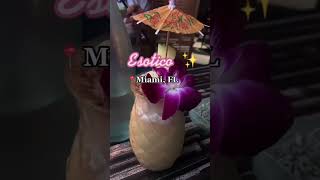 ESOCITO MIAMI. #esoticomiami #miami #thingstodoinmiami #miamivlog #hawaiian #caribbean