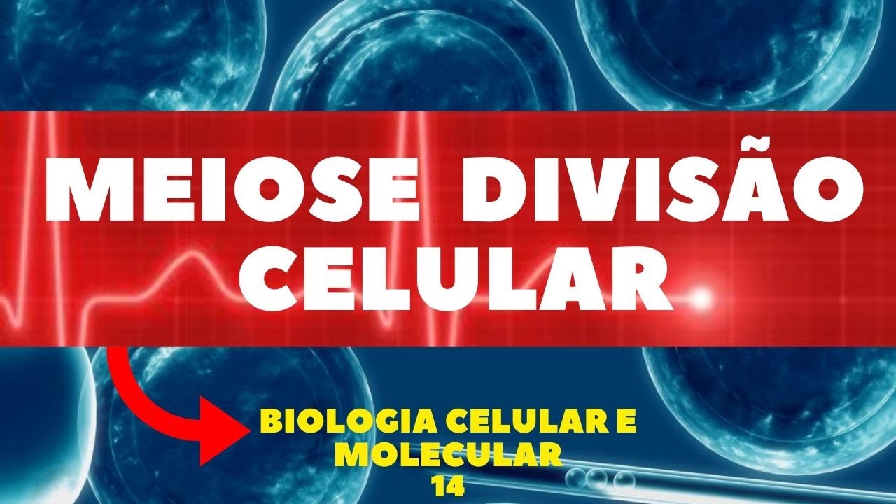 MEIOSE - (DIVISÃO CELULAR) - BIOLOGIA CELULAR E MOLECULAR - AULA 14
