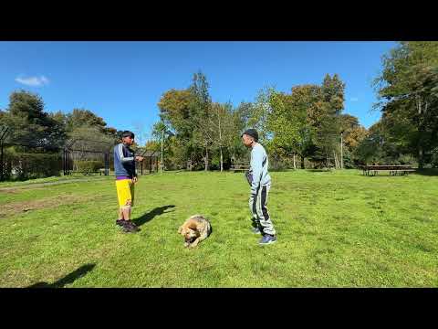 ADE Fecha #06 / BPLD / Temp. 24-25/ Cuartos / Nico Vs Cocaman (06/10/2024)