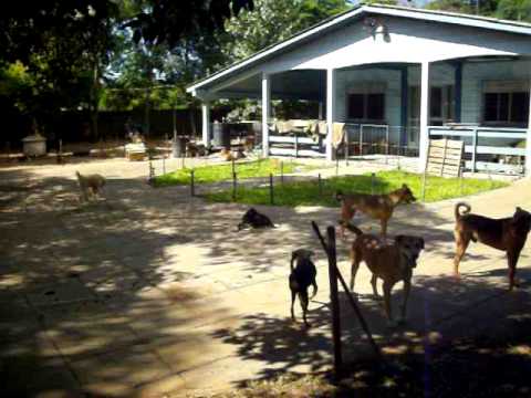 Eneida 03 03 11 sitio dentro126