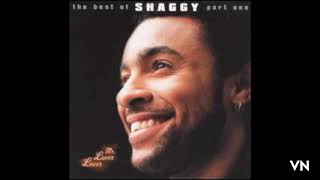 Shaggy - Why You Treat Me So Bad.