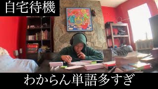 【自宅待機】わからない単語多すぎてひたすら作業