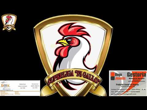 Superliga F5 Gallo - Categoría A: Fecha 1