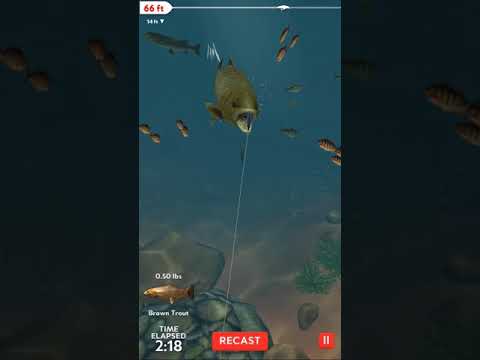 Rapala Fishing 의 동영상