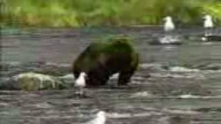 Circle Takes The Square - Interview At The Ruins.3gp