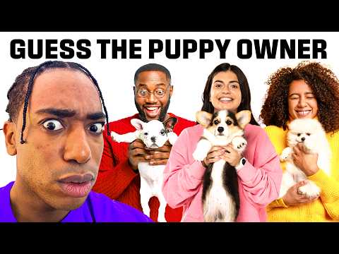 Match The Puppy To The Owner