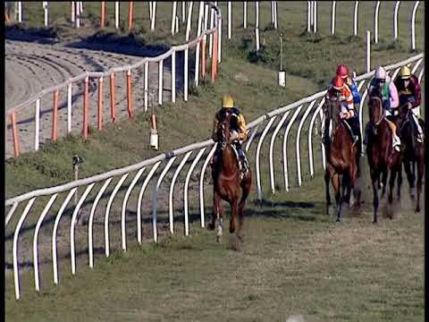 Galoppo 13/01/2020 - 3ª corsa