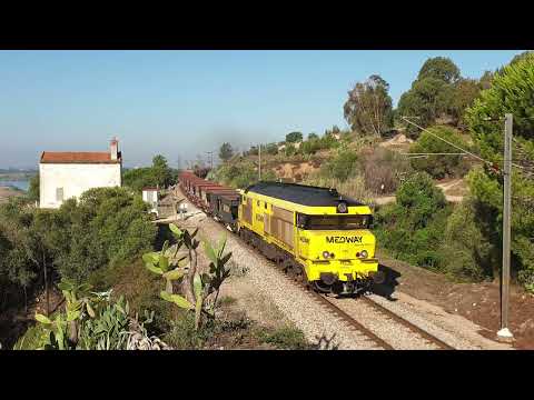 Comboio Especial n.º 95219 - Barquinha