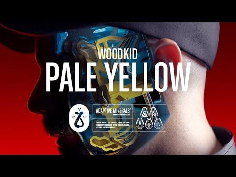{Pale Yellow} {Pale Yellow} Best Songs