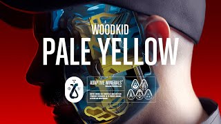 Kadr z teledysku Pale Yellow tekst piosenki Woodkid