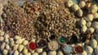 Seashell Shop in Gujarat