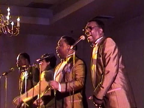 Willie Winfield & the Harptones "Since I Fell For You" Live - 1998