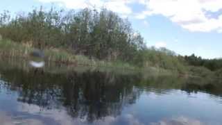 Всё для рыбалки в северодвинске
