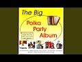 Bye Bye My Baby Polka - Walter Ostanek - Topic Bye Bye My Baby Polka
