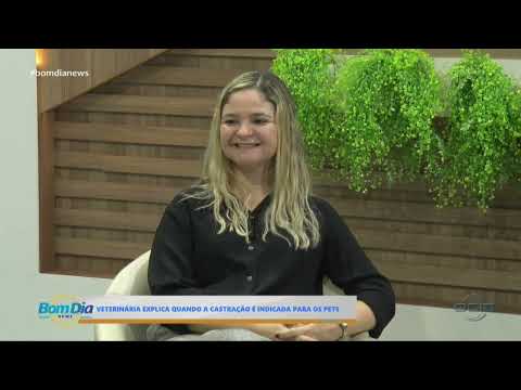 O Dia TV
