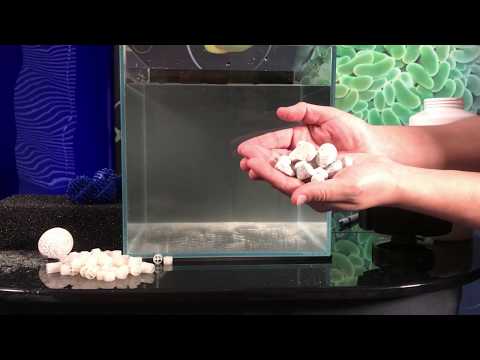 Biological Filtration