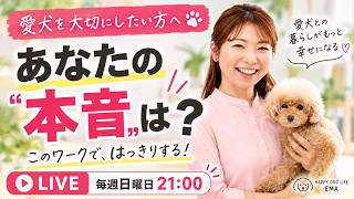 【犬との暮らし】愛犬を大切にしたい方へ。自分の「本音」を確認しよう