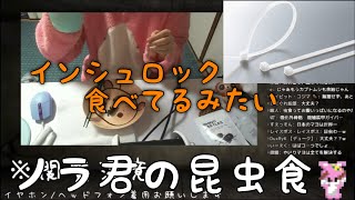 【深層組】ノラ君はインシュロック派【切り抜き】