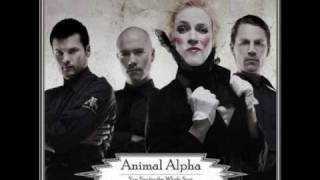 Animal Alpha - Master of Disguise [lyrics in description]