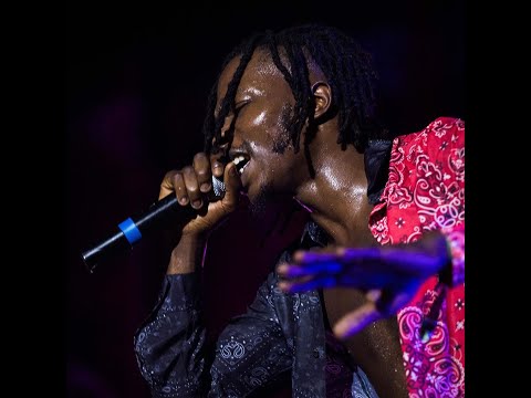 Naira Marley Shutdown at Afronation Ghana 🇬🇭 2019 Day 3, Watch the Full Performance with  TESUMOLE