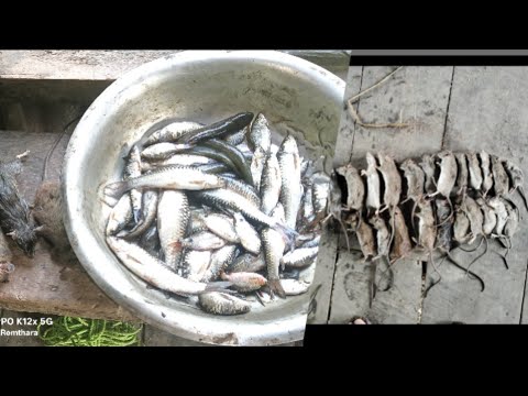 Vaithang kam ramriah leh lenkhang zar,tun kum ah chuan kan awh tha ber tum ani e.🐀🐟🐟