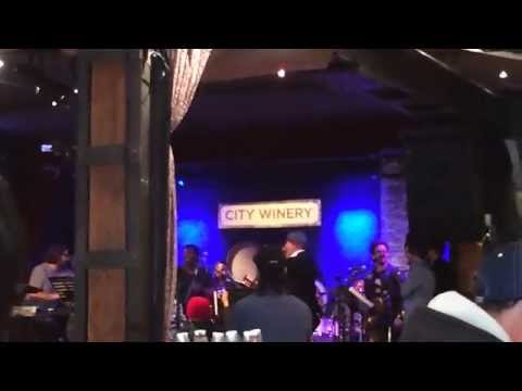 Billy Gibbons, Steve Earle, and Antibalas "The Steve Earle Took My Girl Blues"