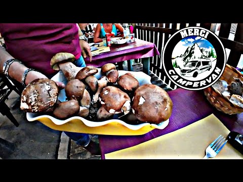 Włoska uczta | Siesta się przedłużyła | podróże kamperem po Włoszech | Marina Di Grosseto