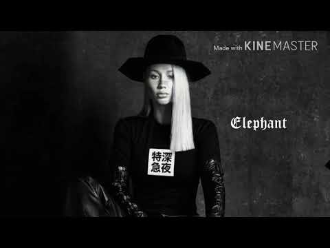 Video thumbnail for Elephant