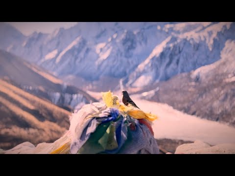 Evol Ai - Thank U (radio edit travel cut)