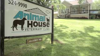 preview picture of video 'Animal House Veterinary Clinic - Short | Franklin, NC'