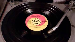 Beach boys. Little Bird.