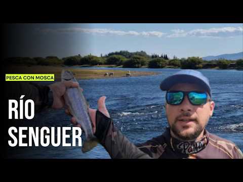PESCA CON MOSCA EN EL RÍO SENGUER. INFESTADO DE TRUCHAS ARCOIRIS JUVENILES. SARMIENTO, CHUBUT.