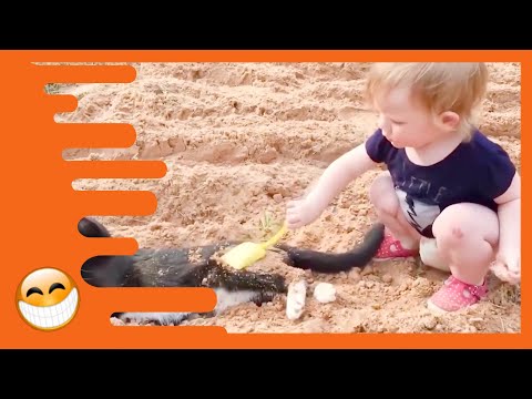 Baby and Cat are Best Friends - Funny Pets Videos