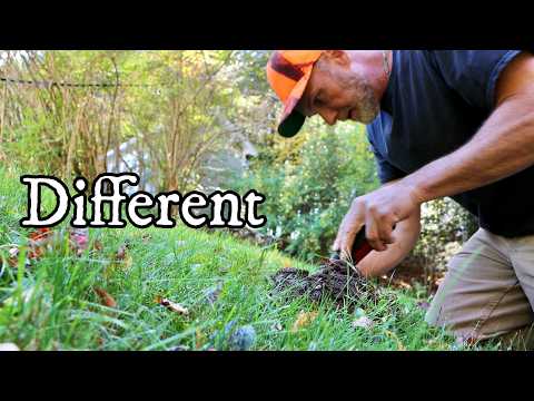 Ein langer und anderer Tag für mich mit der Metalldetektion