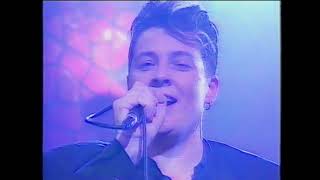 Horse - You could be forgiven (Live on TV)